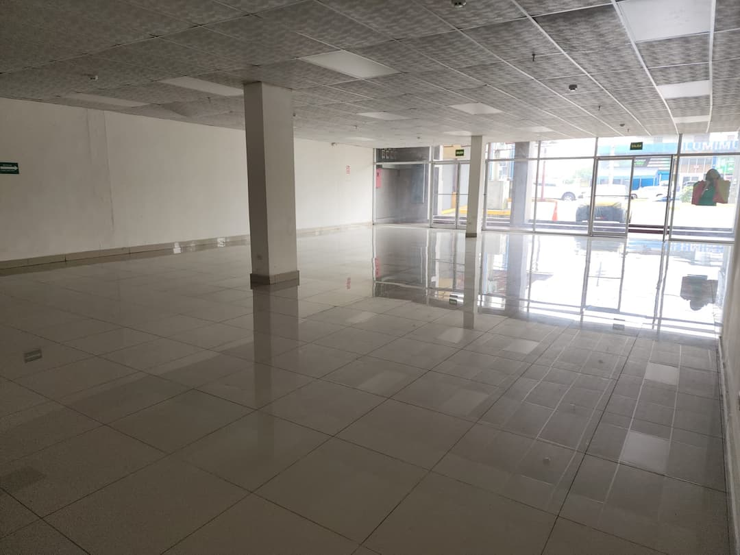 LOCALES COMERCIALES (P)